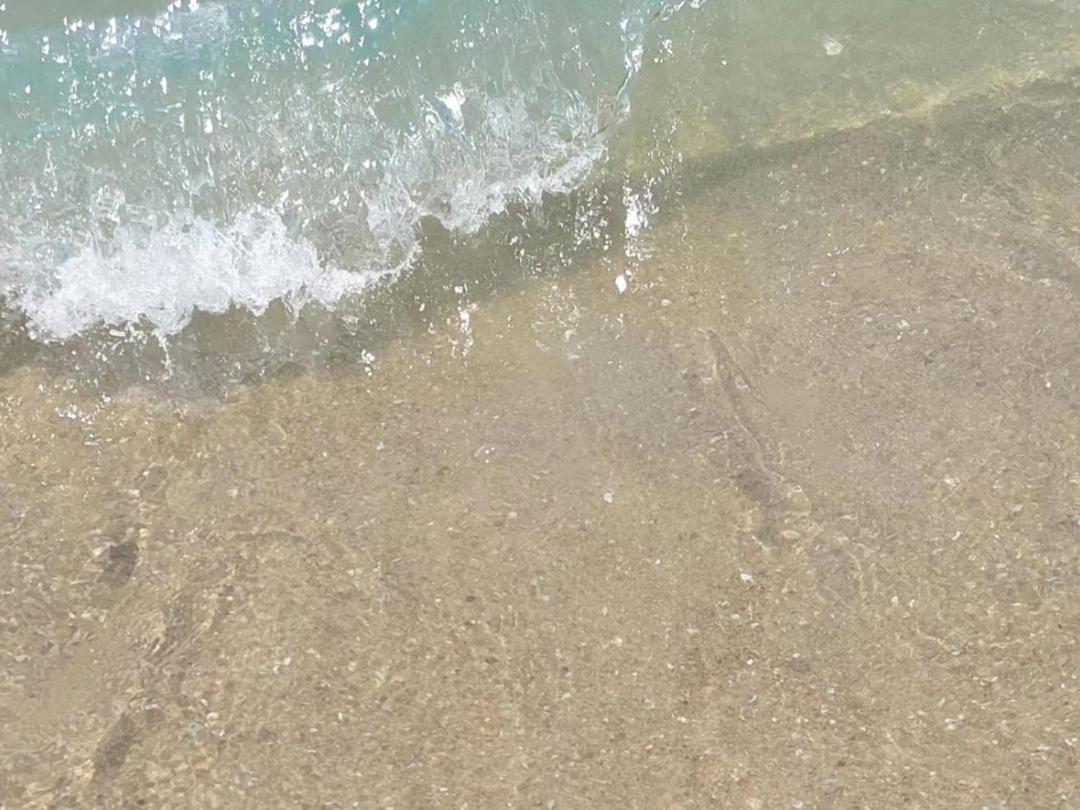 Pousada Sereia Morena Floripa Florianopolis Bagian luar foto